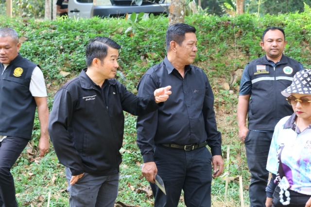 โครงการเมืองสิ่งแวดล้อม